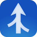 Araxis Merge Pro 2025.1