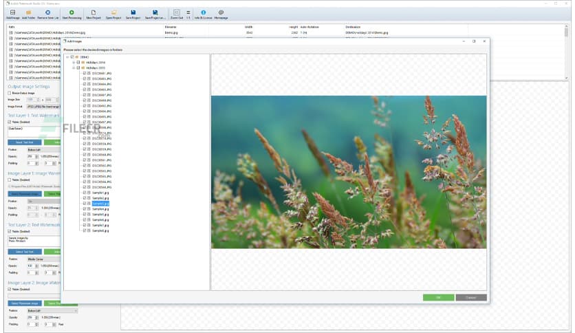 Arclab Watermark Studio 4.4