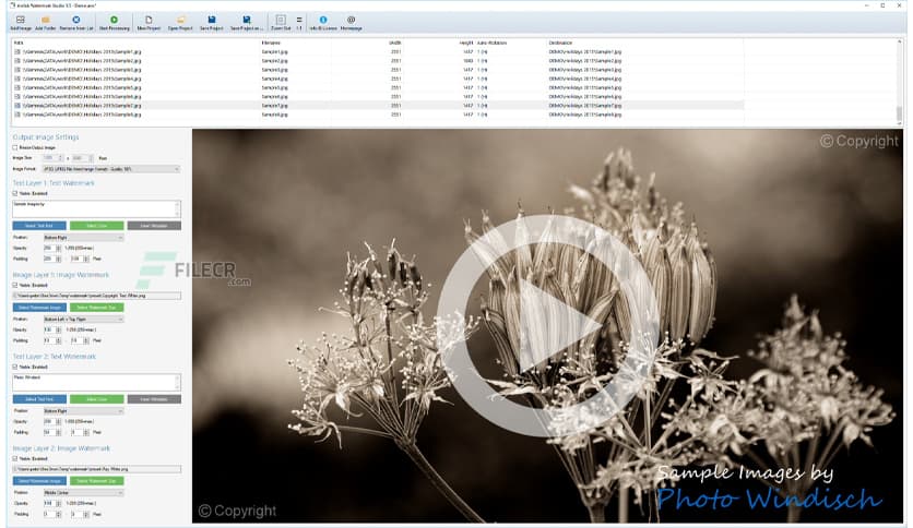 Arclab Watermark Studio 4.4