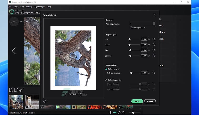 Ashampoo Photo Optimizer 2022 v1.9.1