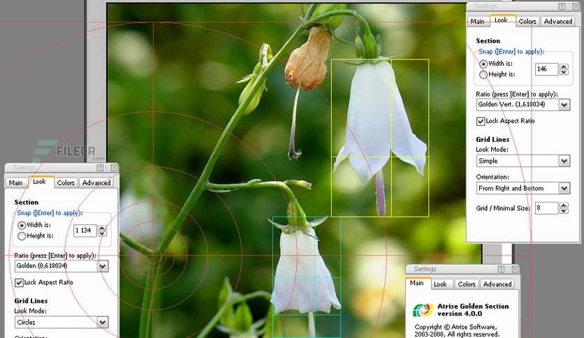 Atrise Golden Section 5.9.3