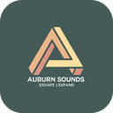 Auburn Sounds Graillon 3.1.1