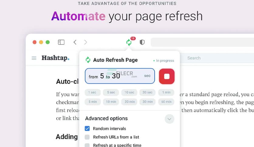 Auto Refresh Page 1.1