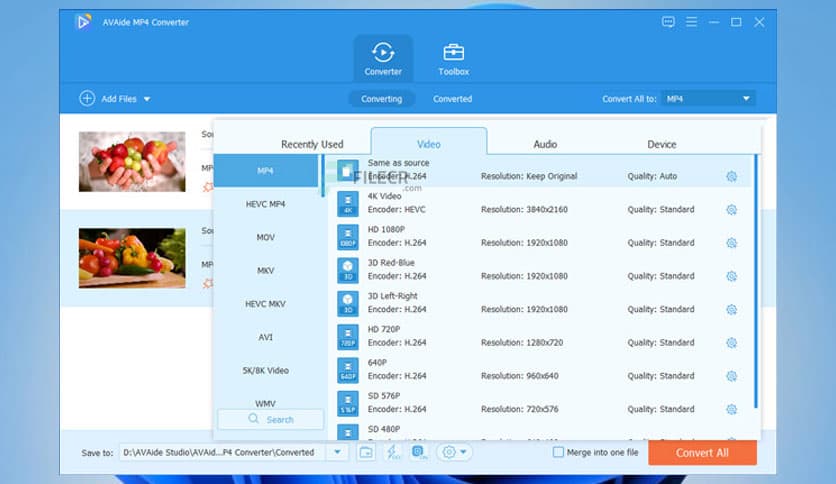 AVAide MP4 Converter 1.0.16