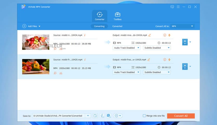 AVAide MP4 Converter 1.0.16