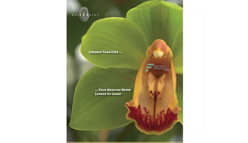 basICColor display 6.0.4 Build 2595