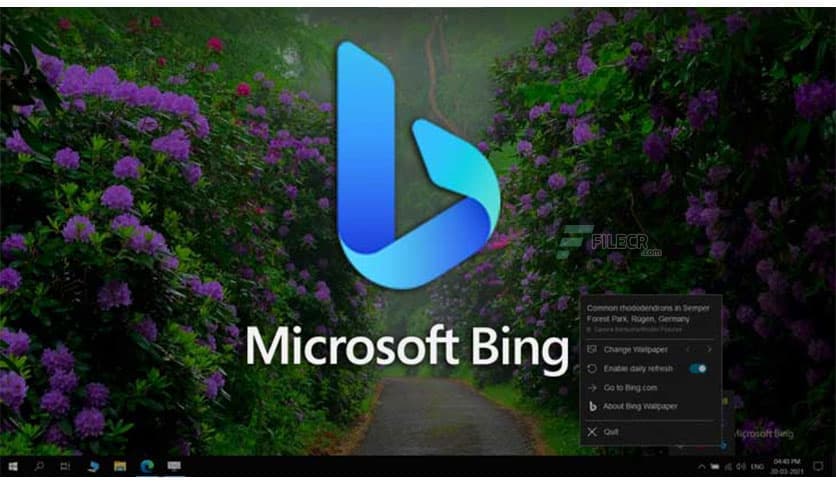 Bing Wallpaper 1.1.437.0