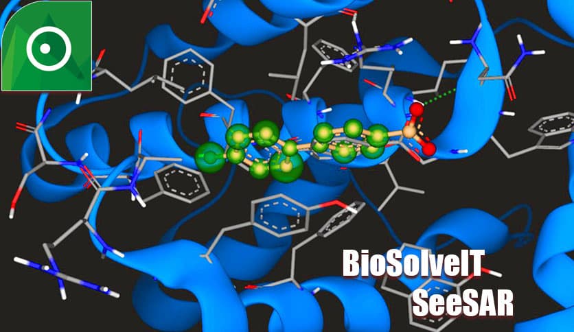 BioSolveIT SeeSAR 14.1.2