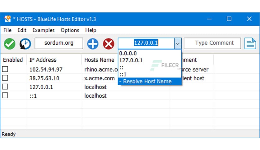 BlueLife Hosts Editor 1.6