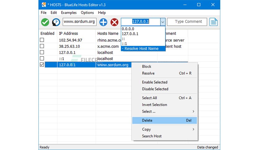 BlueLife Hosts Editor 1.6