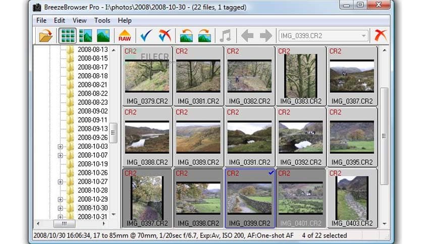 BreezeBrowser Pro 1.12.4.1