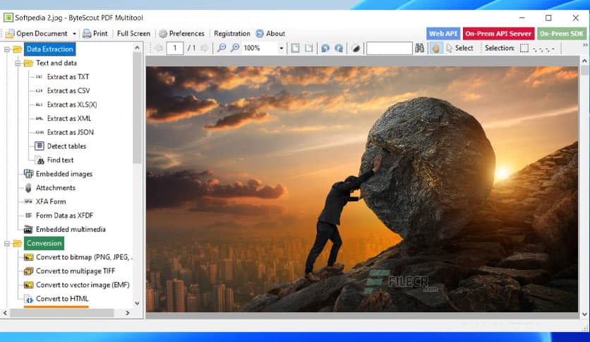 ByteScout PDF Multitool 13.1.2.4454 Business