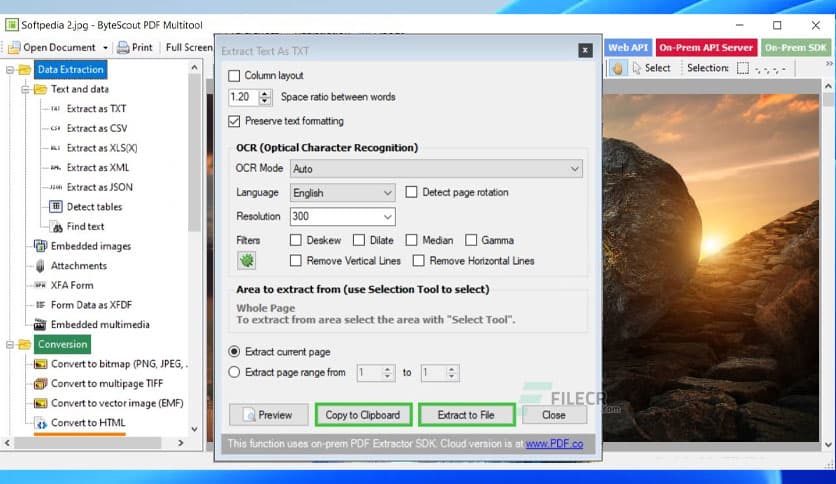 ByteScout PDF Multitool 13.1.2.4454 Business