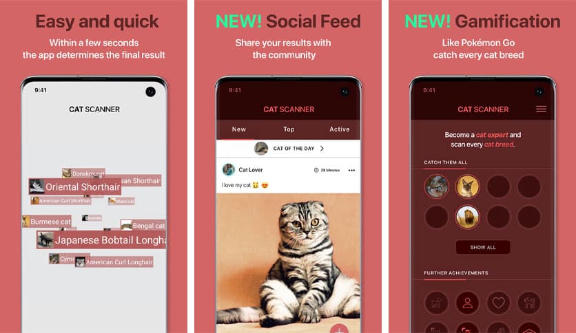 Cat Scanner: Breed Recognition 22.2.17-G