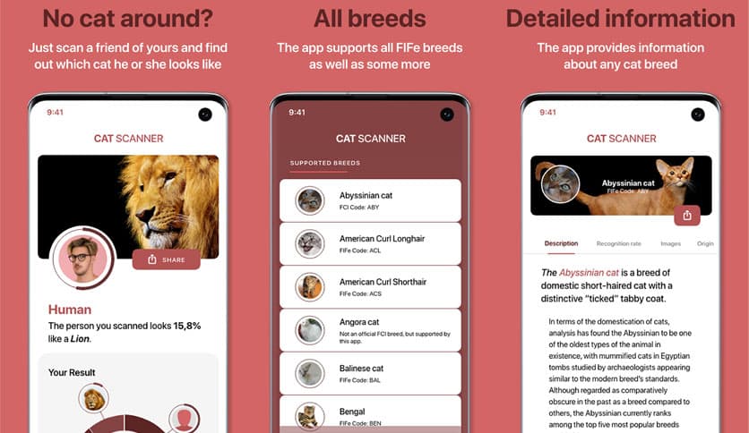Cat Scanner: Breed Recognition 22.2.17-G
