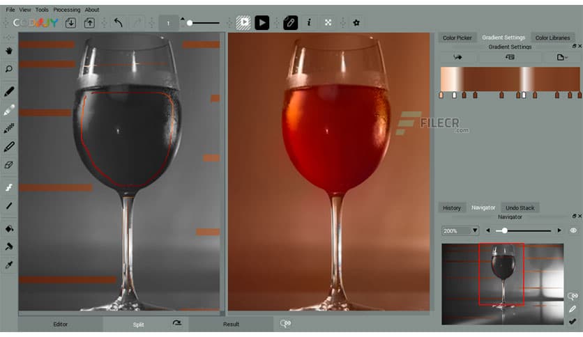 CODIJY Colorizer Pro 4.2.0