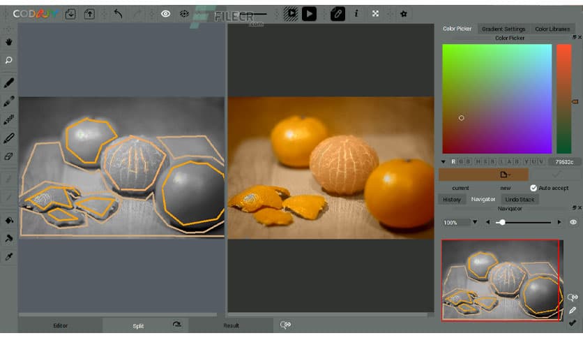 CODIJY Colorizer Pro 4.2.0