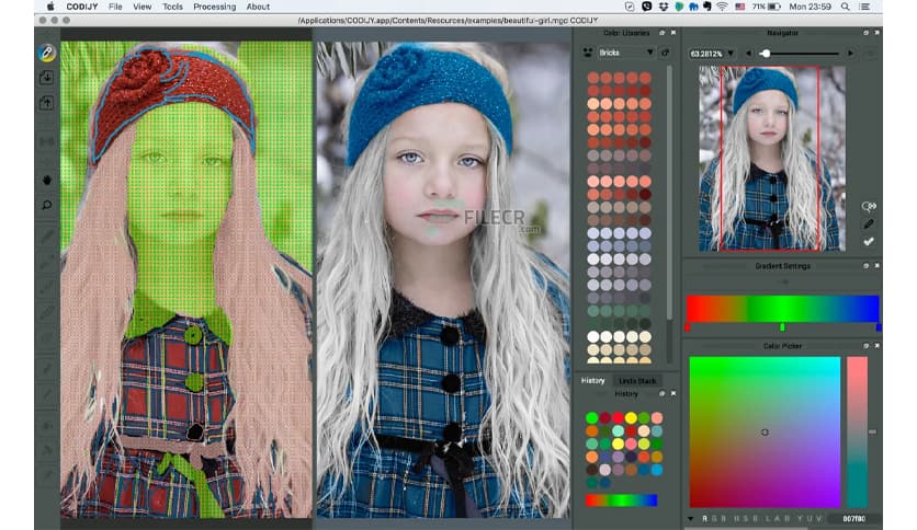 CODIJY Recoloring 4.2.0
