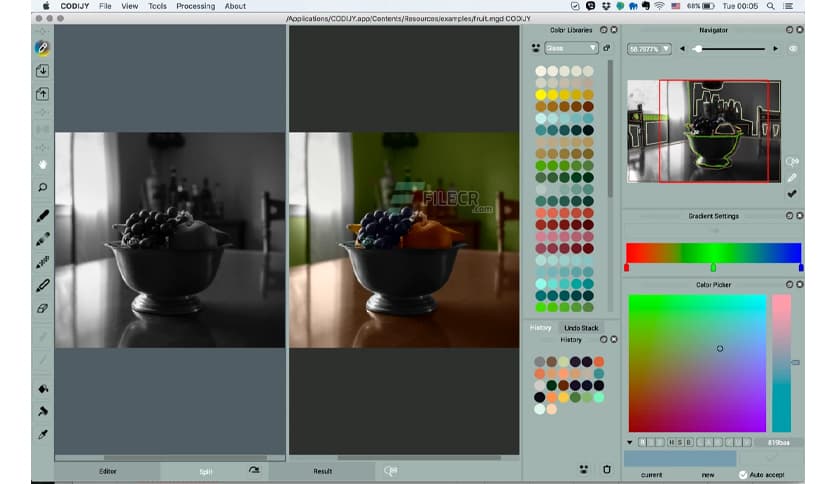 CODIJY Recoloring 4.2.0