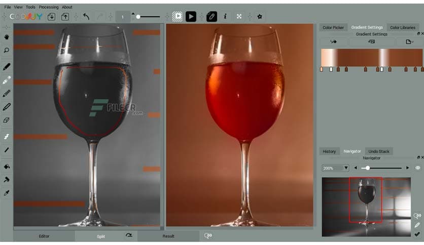 CODIJY Recoloring 4.2.0