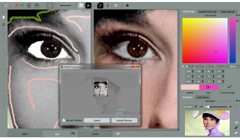 CODIJY Recoloring 4.2.0