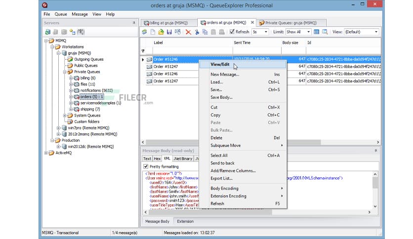 Cogin QueueExplorer Professional 5.0.67
