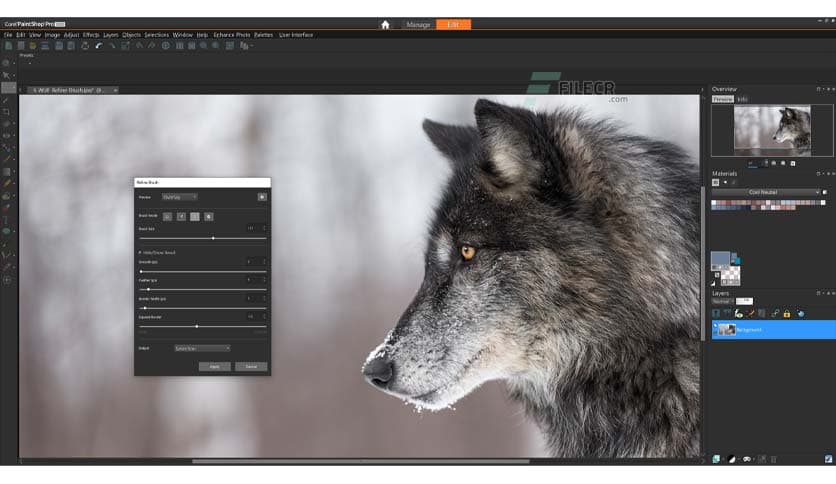 Corel PaintShop Pro Ultimate 2023 v25.2.0.58