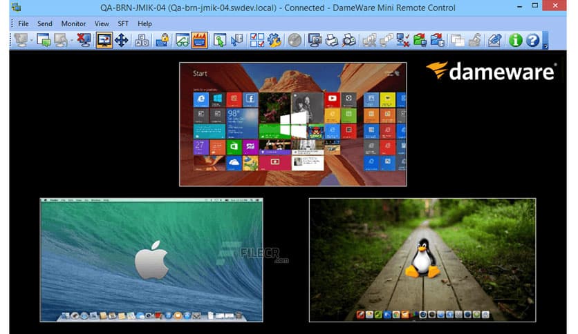 DameWare Mini Remote Control 12.2.4.11