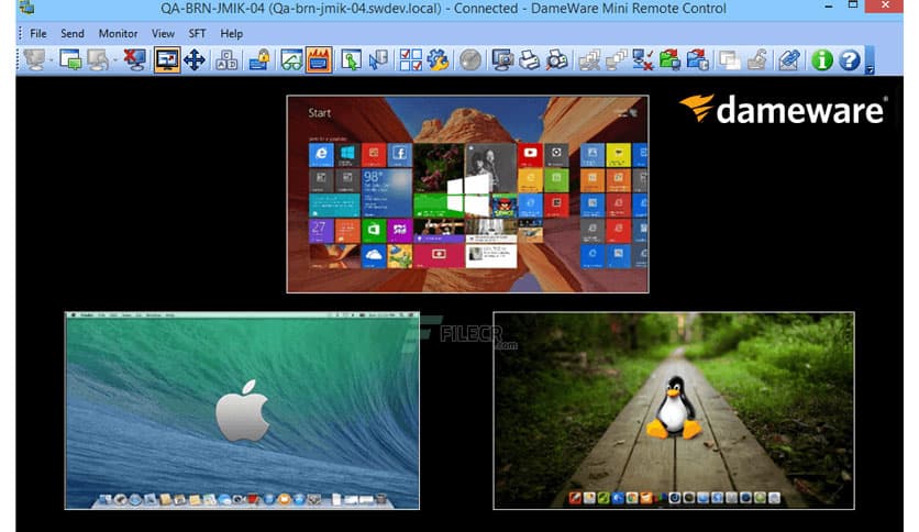 DameWare Remote Support 12.3.2.5