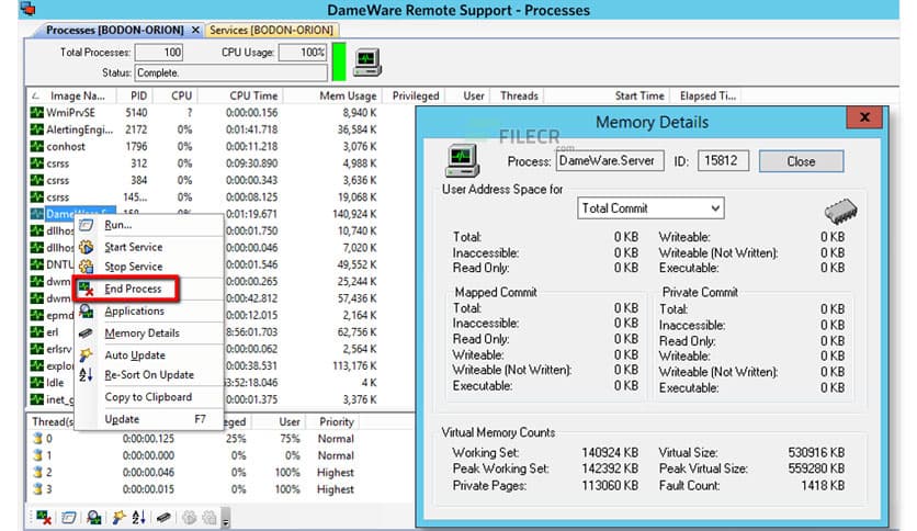 DameWare Remote Support 12.3.2.5