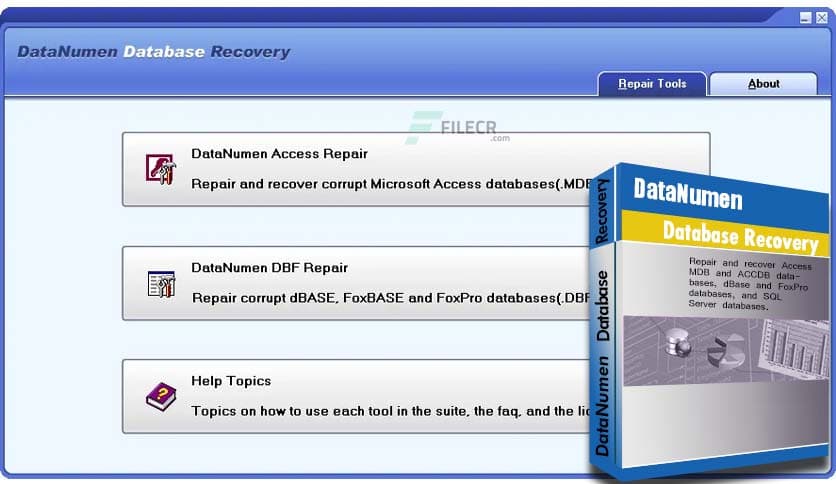DataNumen Database Recovery 2.5.0
