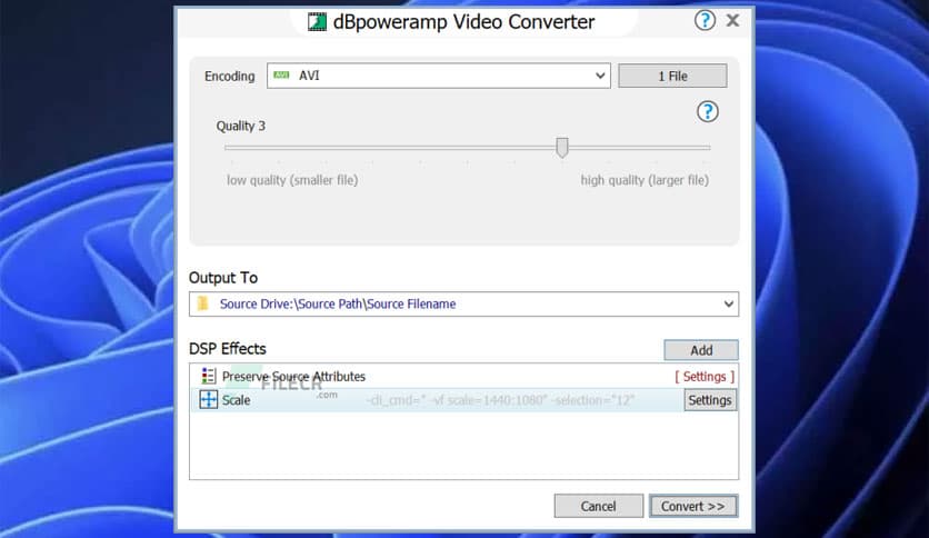 dBpoweramp Video Converter R2025-08-08