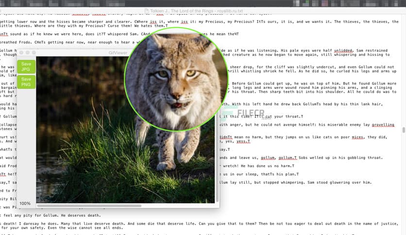 Desktop Lens PRO 4.0.8