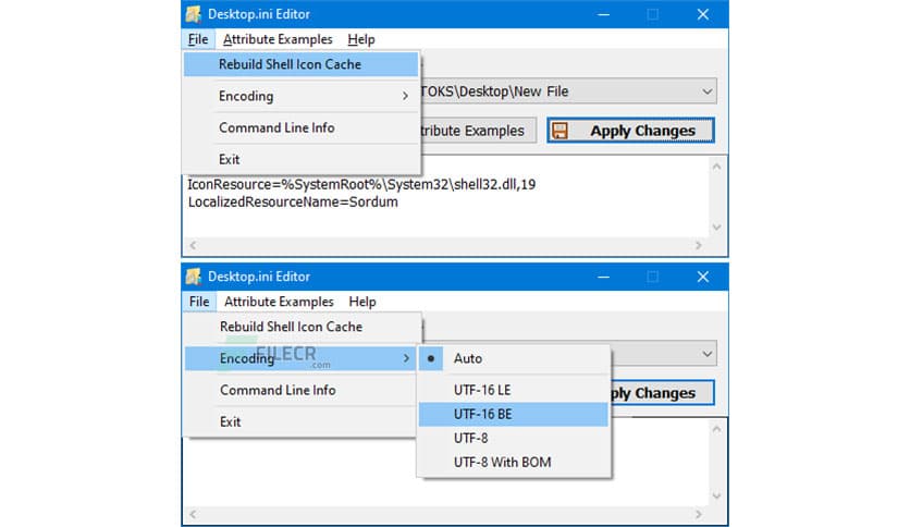 Desktop.ini Editor 1.1