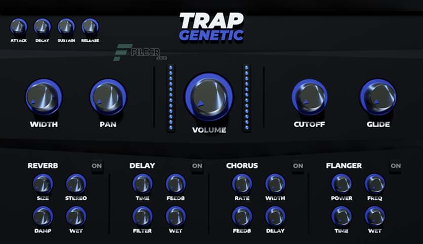 Digikitz Trap Genetic