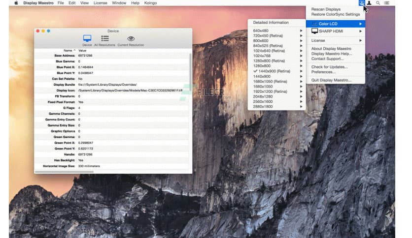 Display Maestro 5.3.0