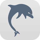 Dolphie for KWGT v1.3.2