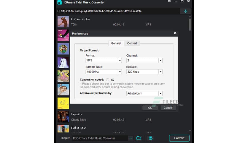 DRmare Tidal Music Converter 1.3.0.210