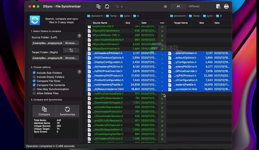 DevStorm DSync 2.8.2