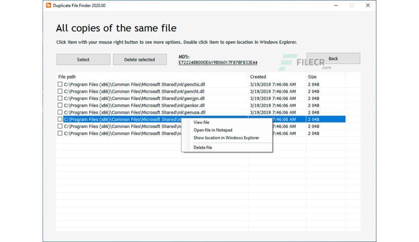 Duplicate File Finder Professional 2026 v410