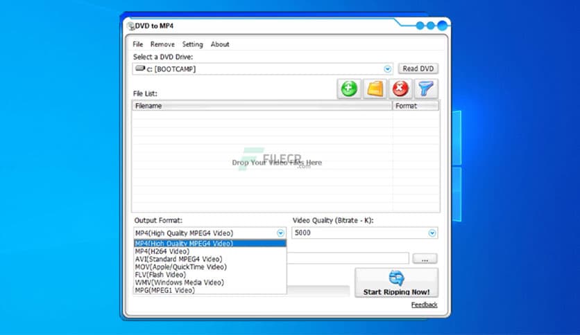 CoolSoftware DVD to MP4 3.1.3