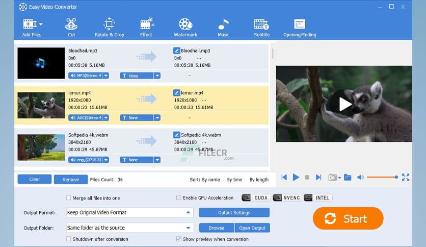 Easy Video Converter 11.2.0