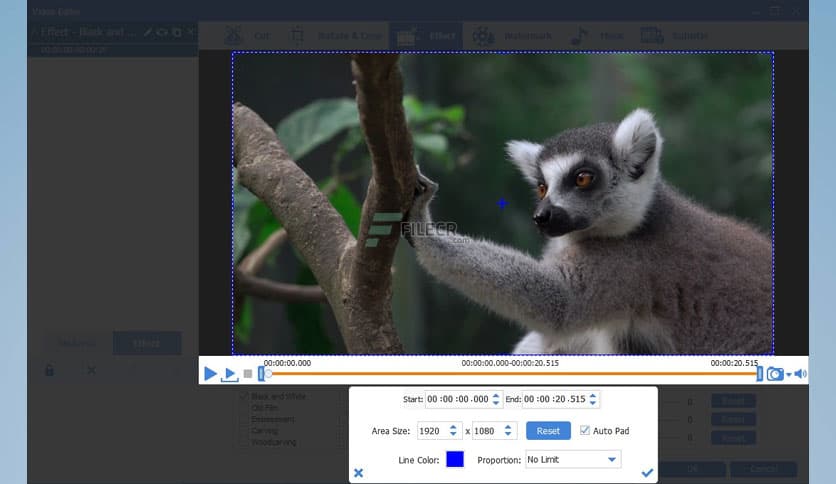 Easy Video Converter 11.2.0