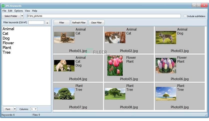 EedSoft Jpg Keywords 1.9
