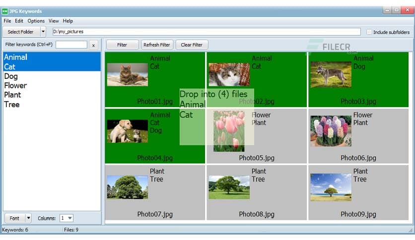 EedSoft Jpg Keywords 1.9