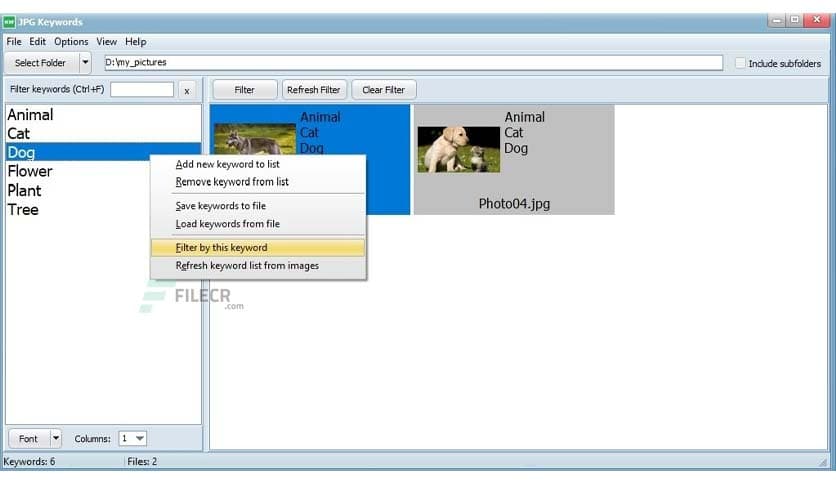 EedSoft Jpg Keywords 1.9