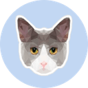 EF File Catalog 25.10