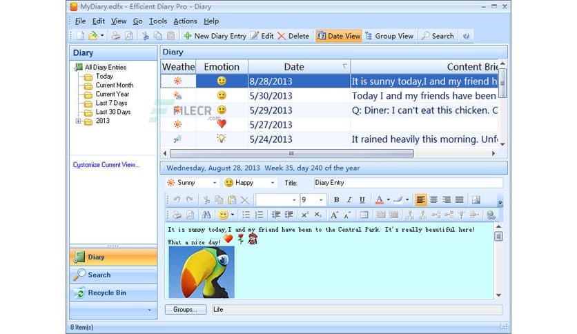 Efficient Diary Pro 5.60 Build 559
