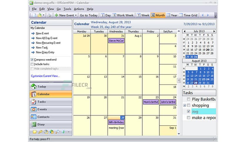 Efficient Efficcess 5.60 Build 559