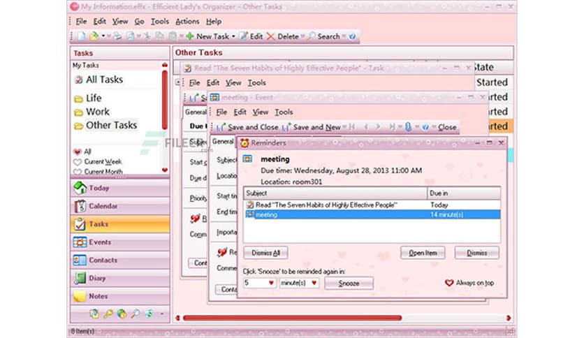 Efficient Ladys Organizer 5.60 Build 559